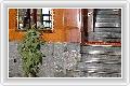  3  Aedes Madison